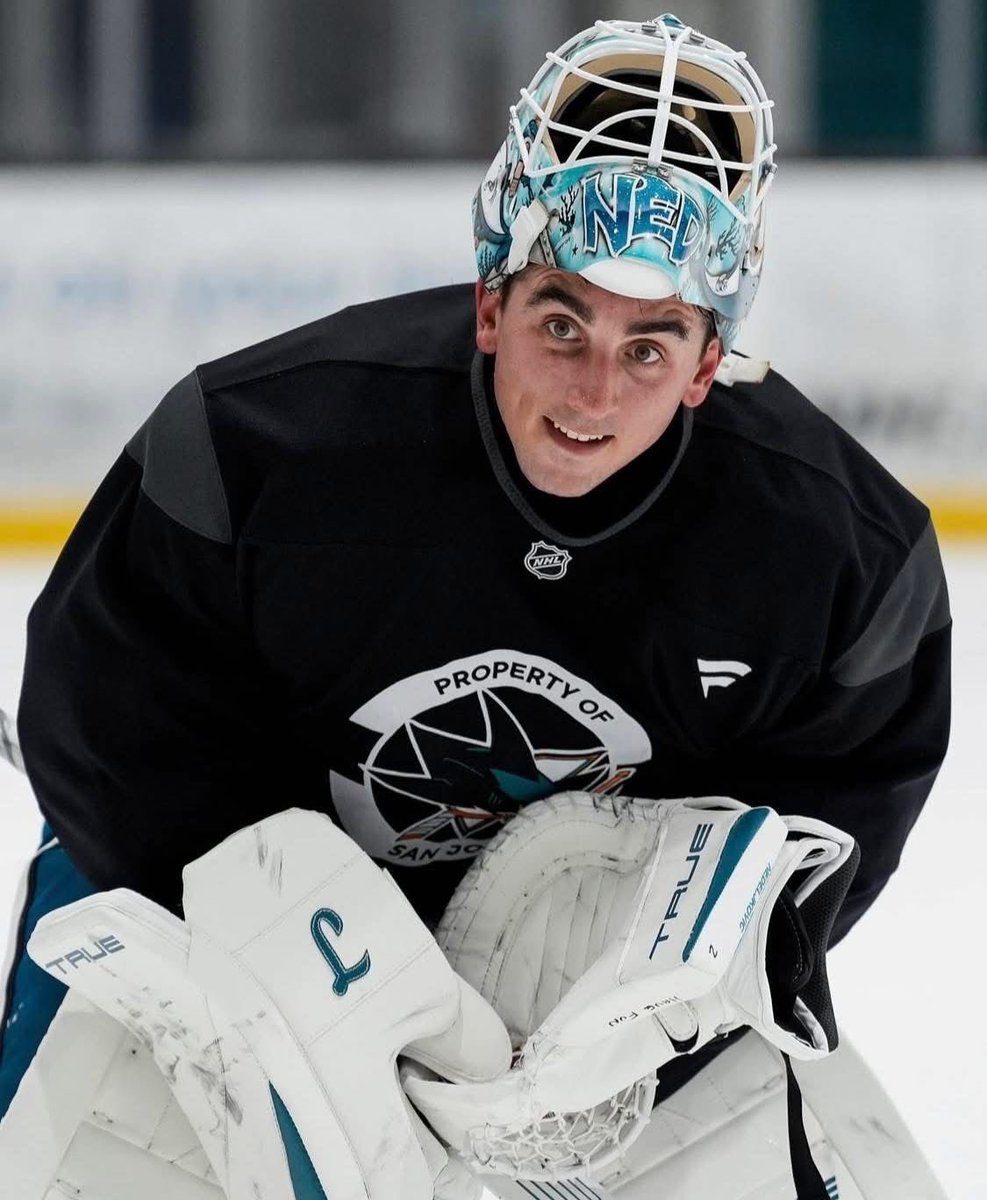 adds🦈 tweet media