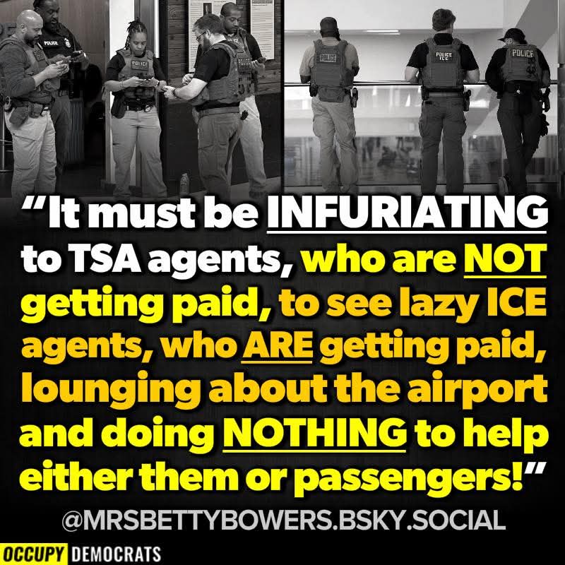 Lynne Franklin tweet media