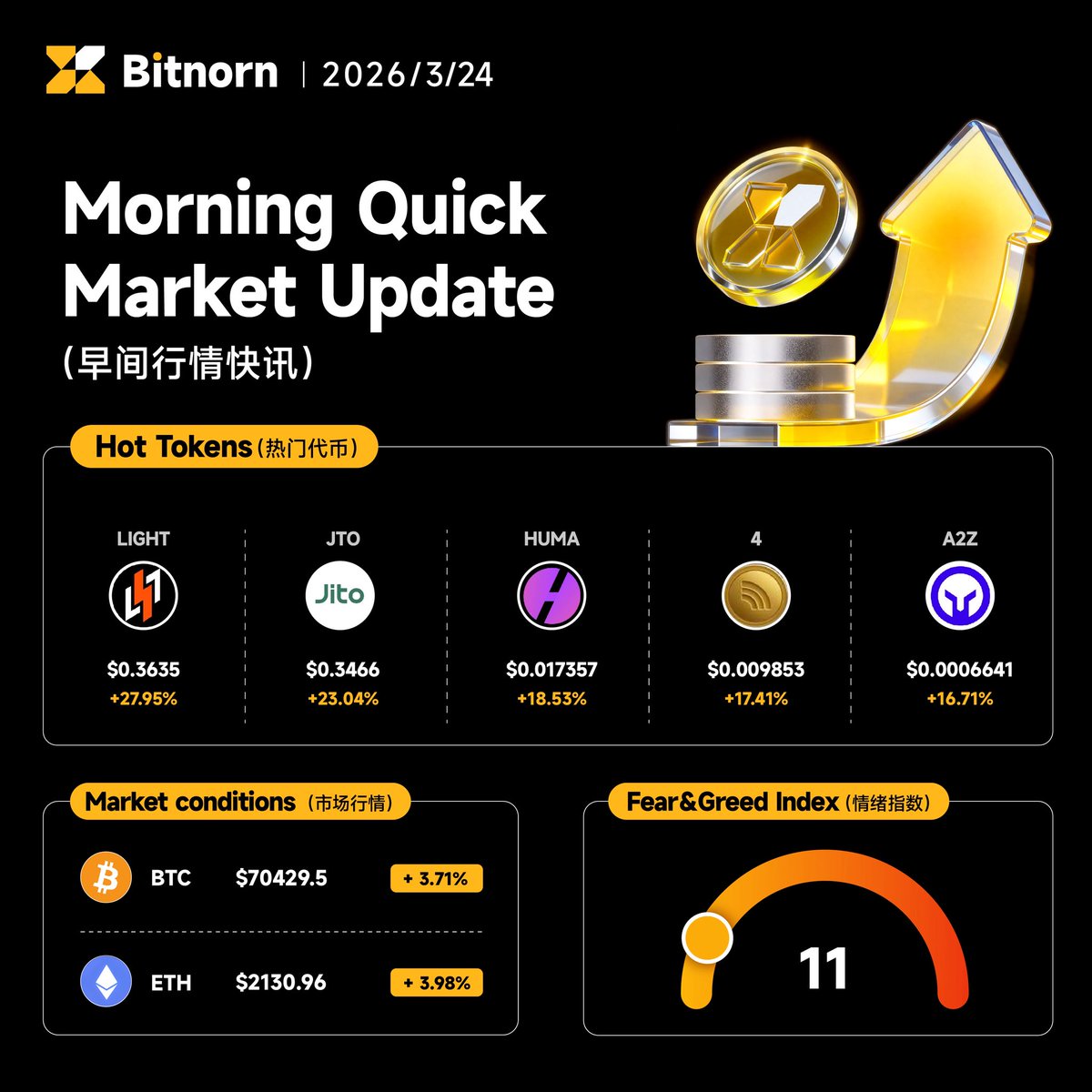 Bitnorn Global tweet media
