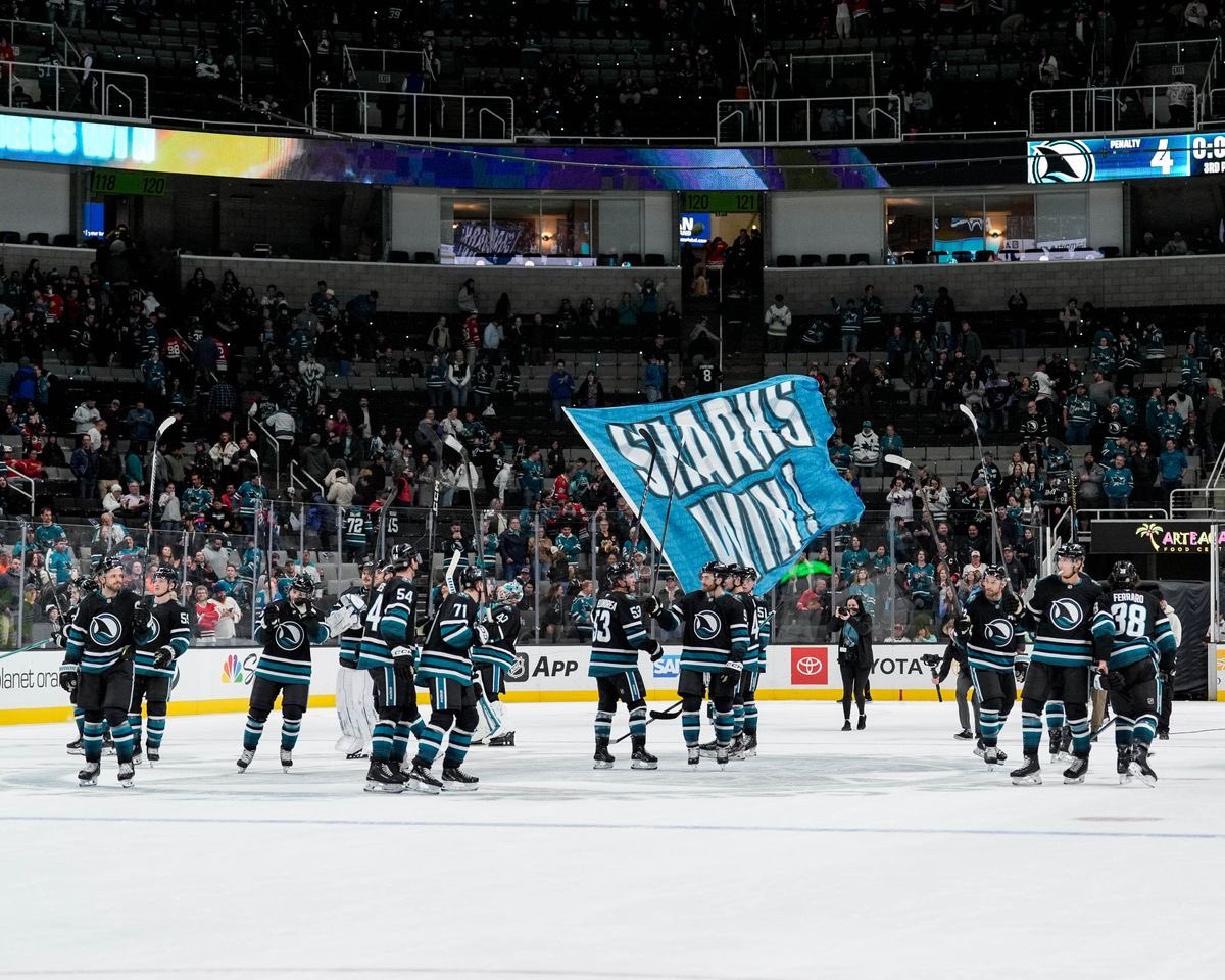 adds🦈 tweet media