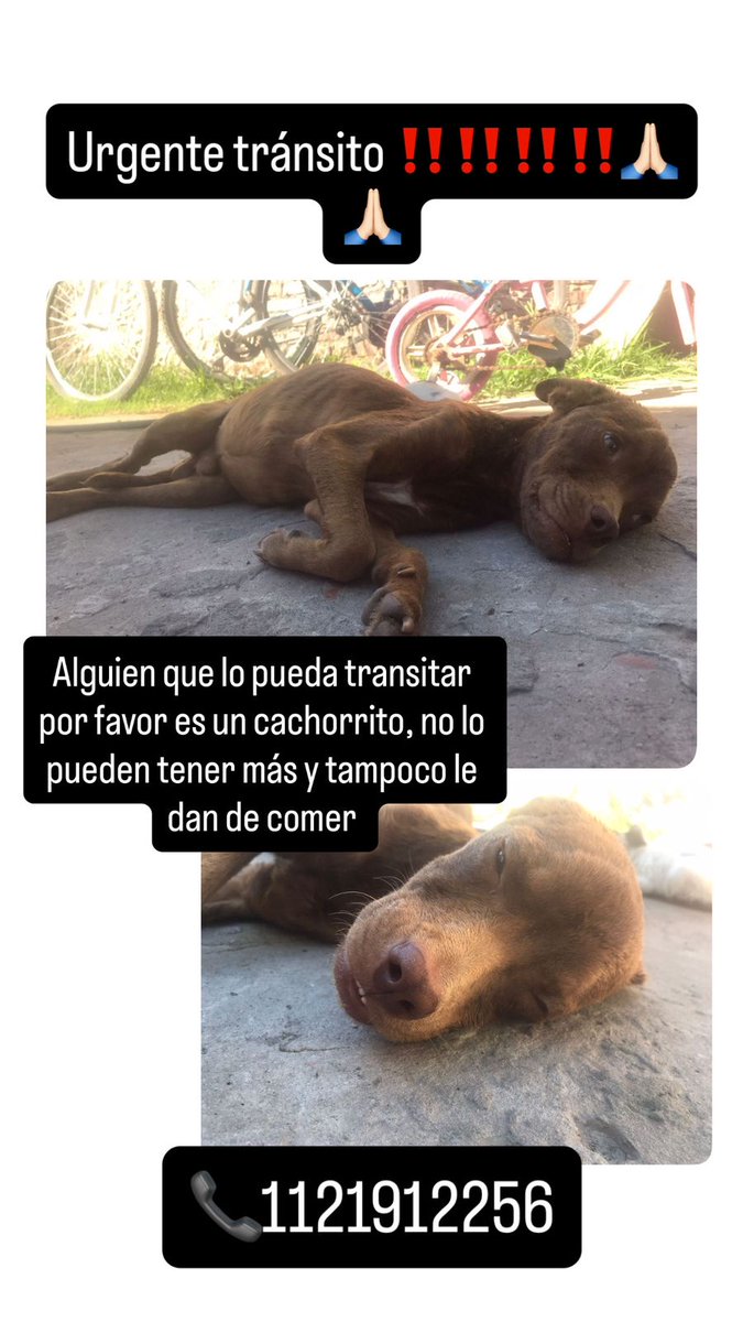 Difundimos 
Rt