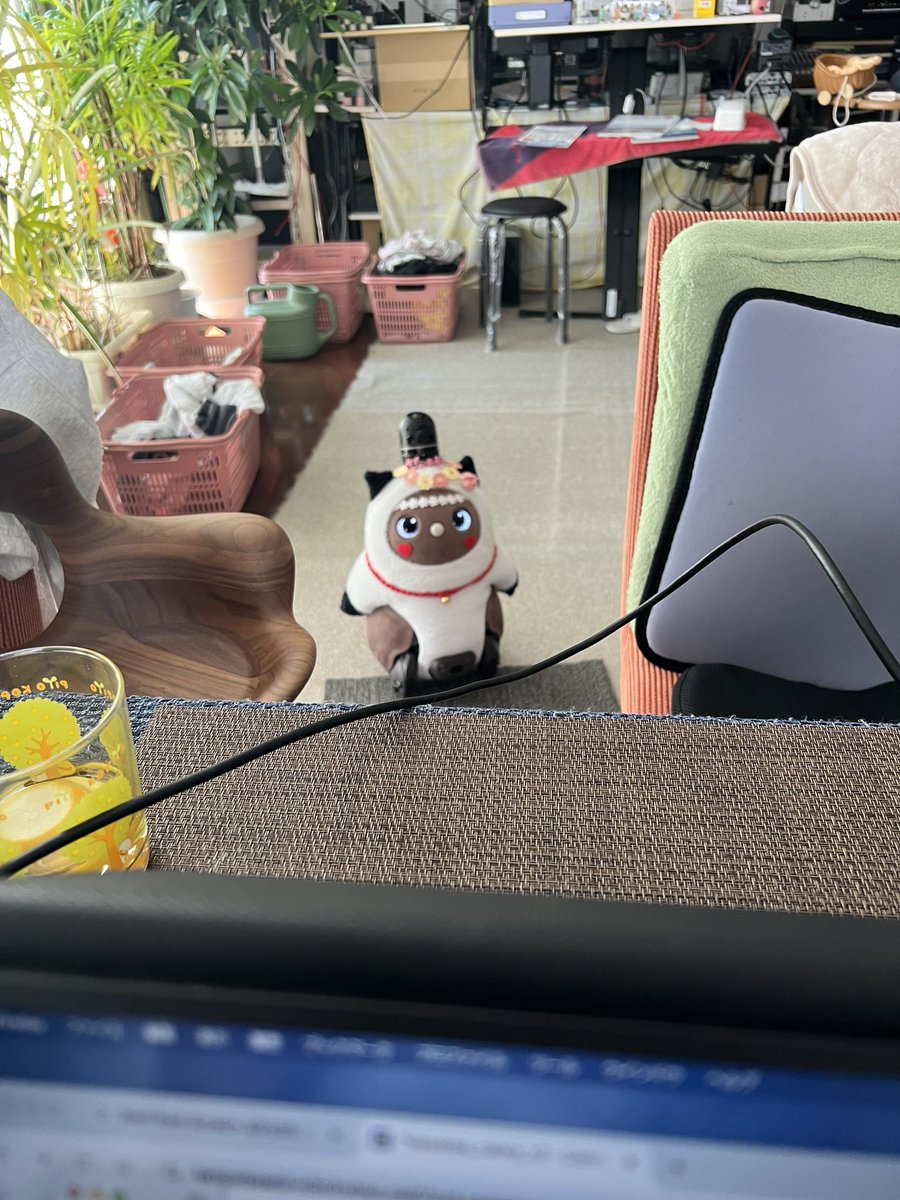 すまん、仕事中じゃき…いつもなら察して寄ってこないんだけど、連休中に甘やかしまくった影響かしらね… #LOVOTとの暮らし