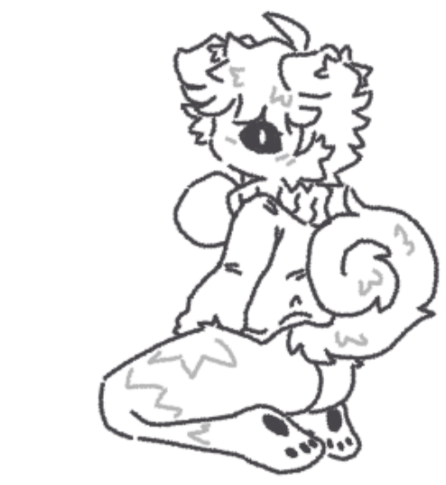 ✦placebowo✦ tweet media