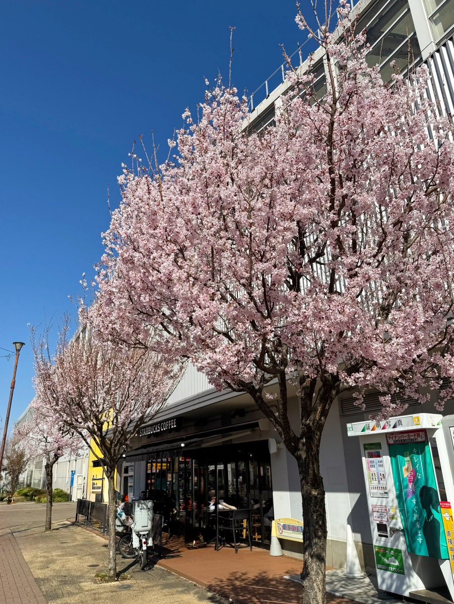 菓子工房ビルドルセ tweet media