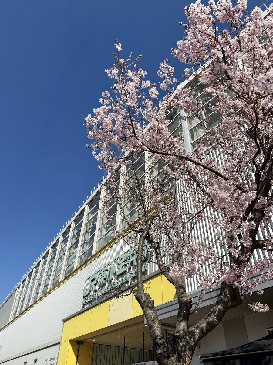 菓子工房ビルドルセ tweet media