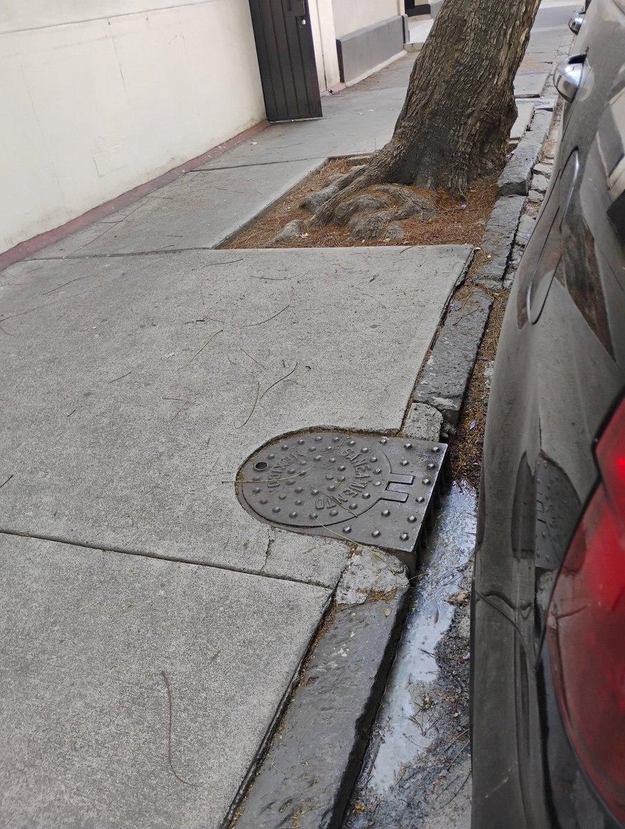 hipodromocondesa tweet media