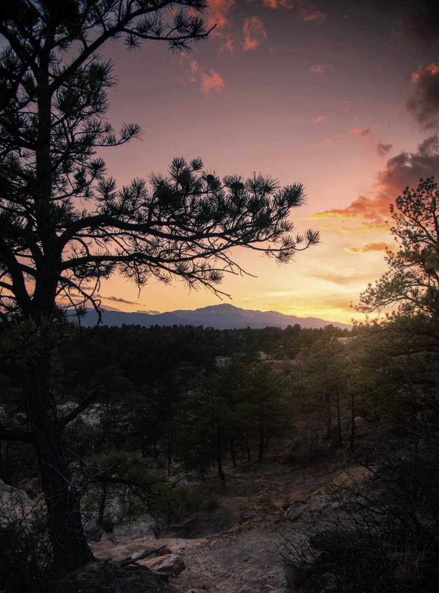 Brian ✝️🇺🇸 tweet media