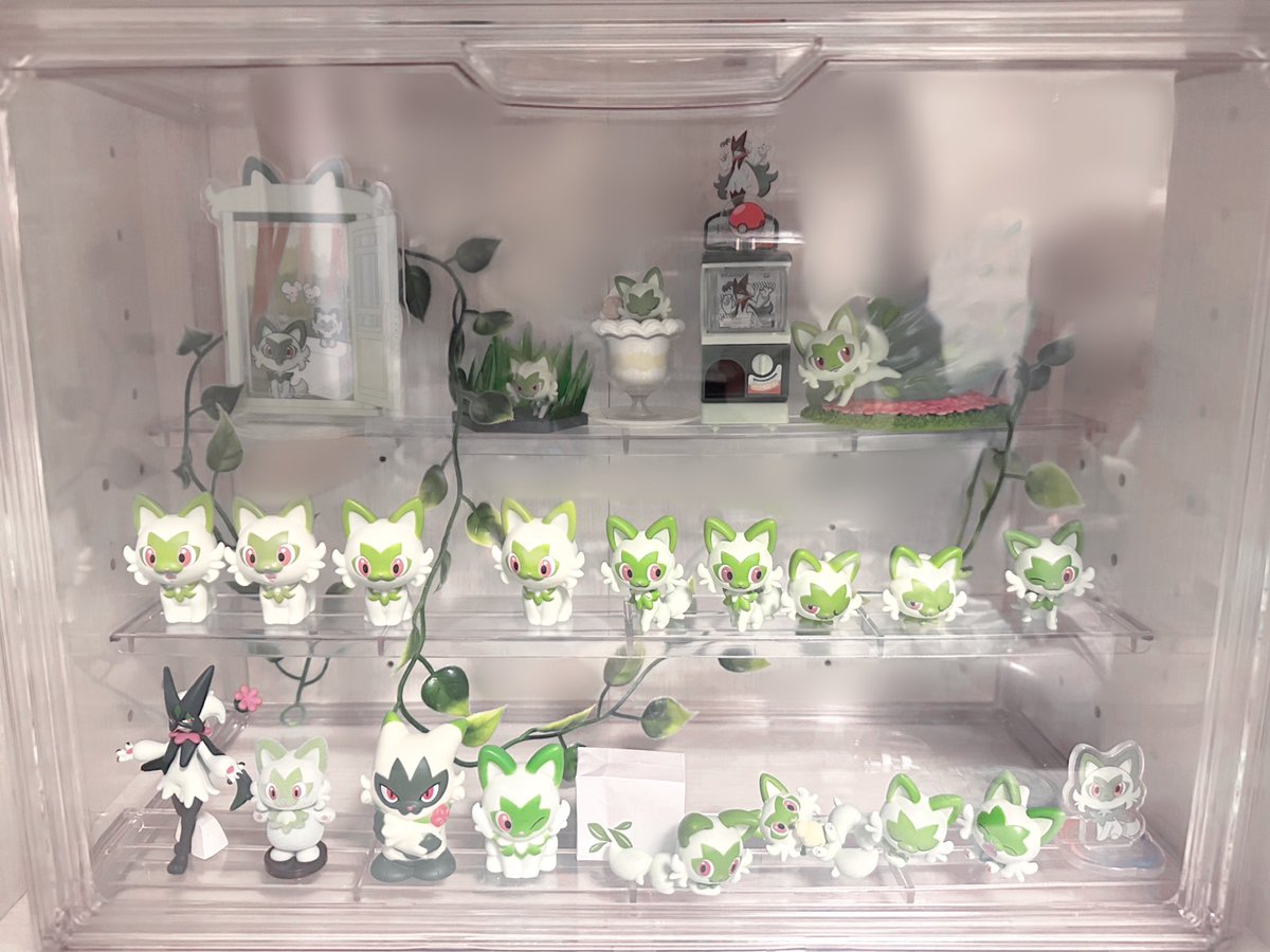 삐묘 ぴみょ tweet media