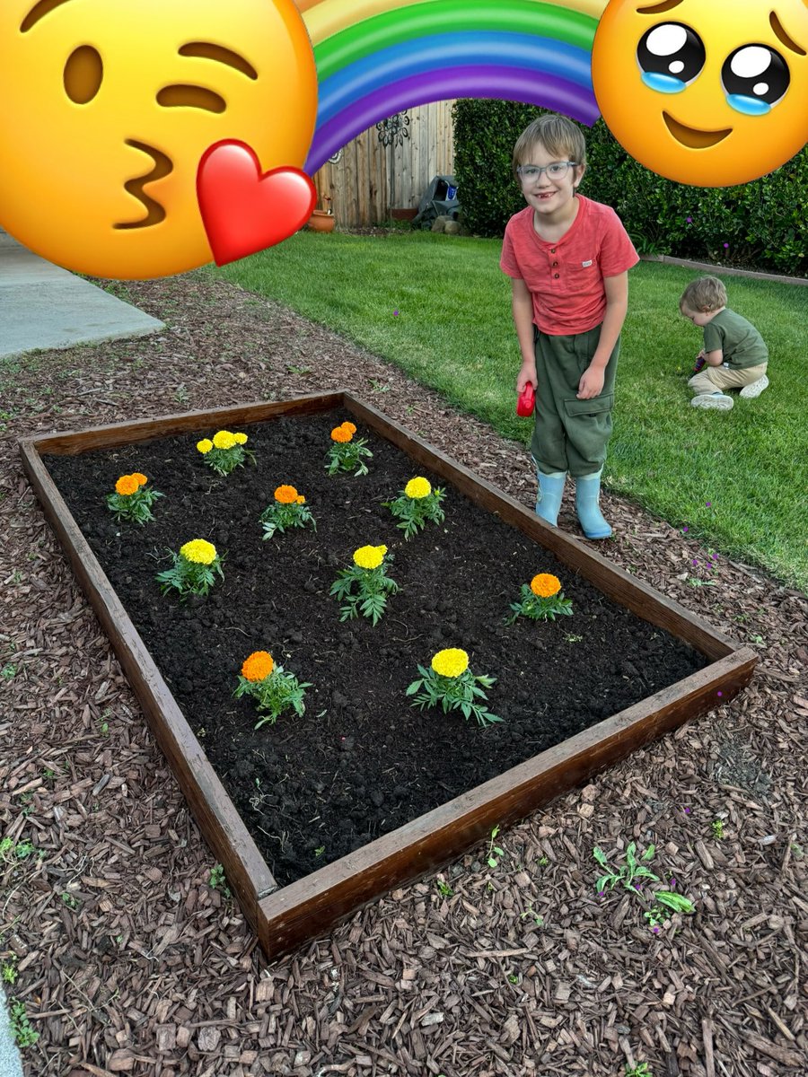 Sim 🌴 tweet media