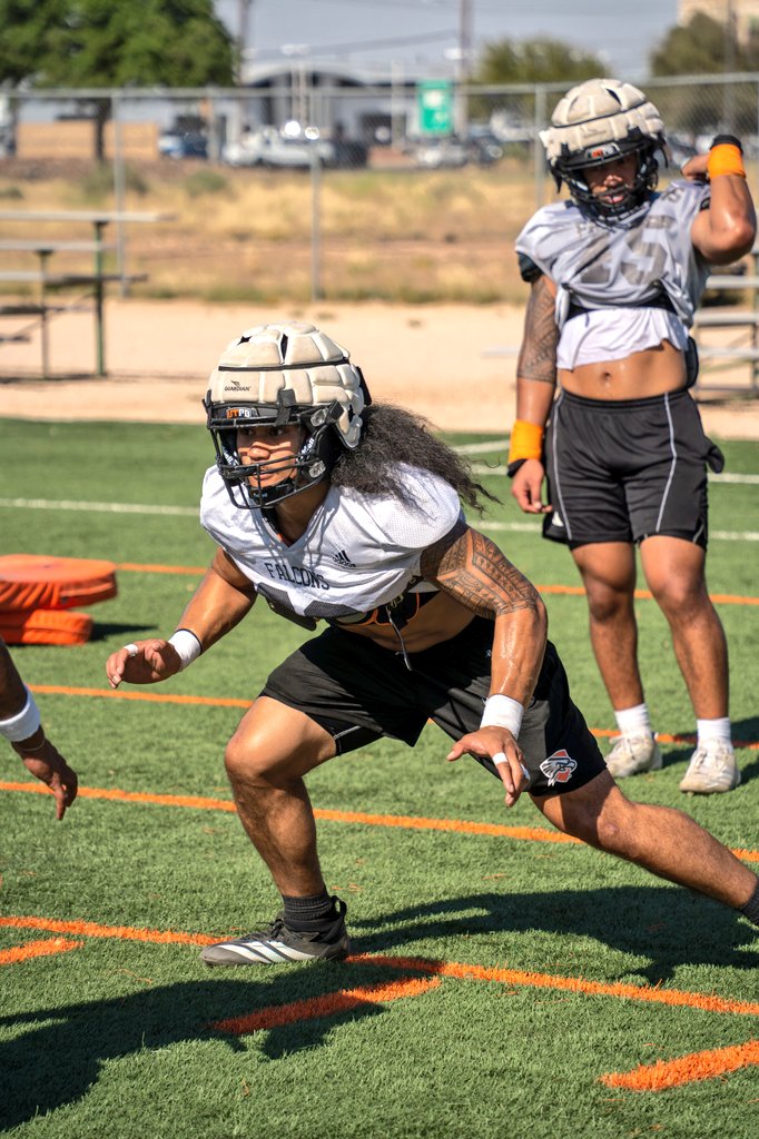 UTPB Athletics tweet media