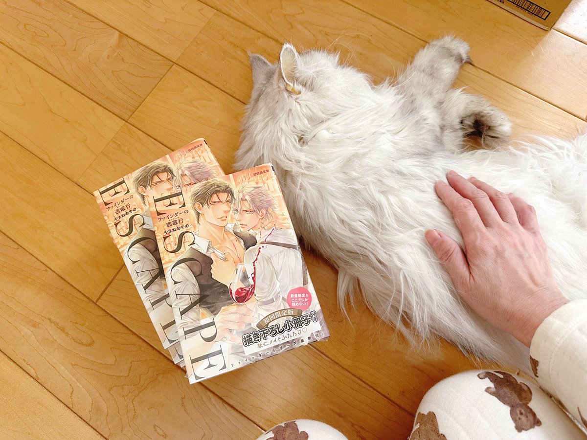 やまねあやの tweet media