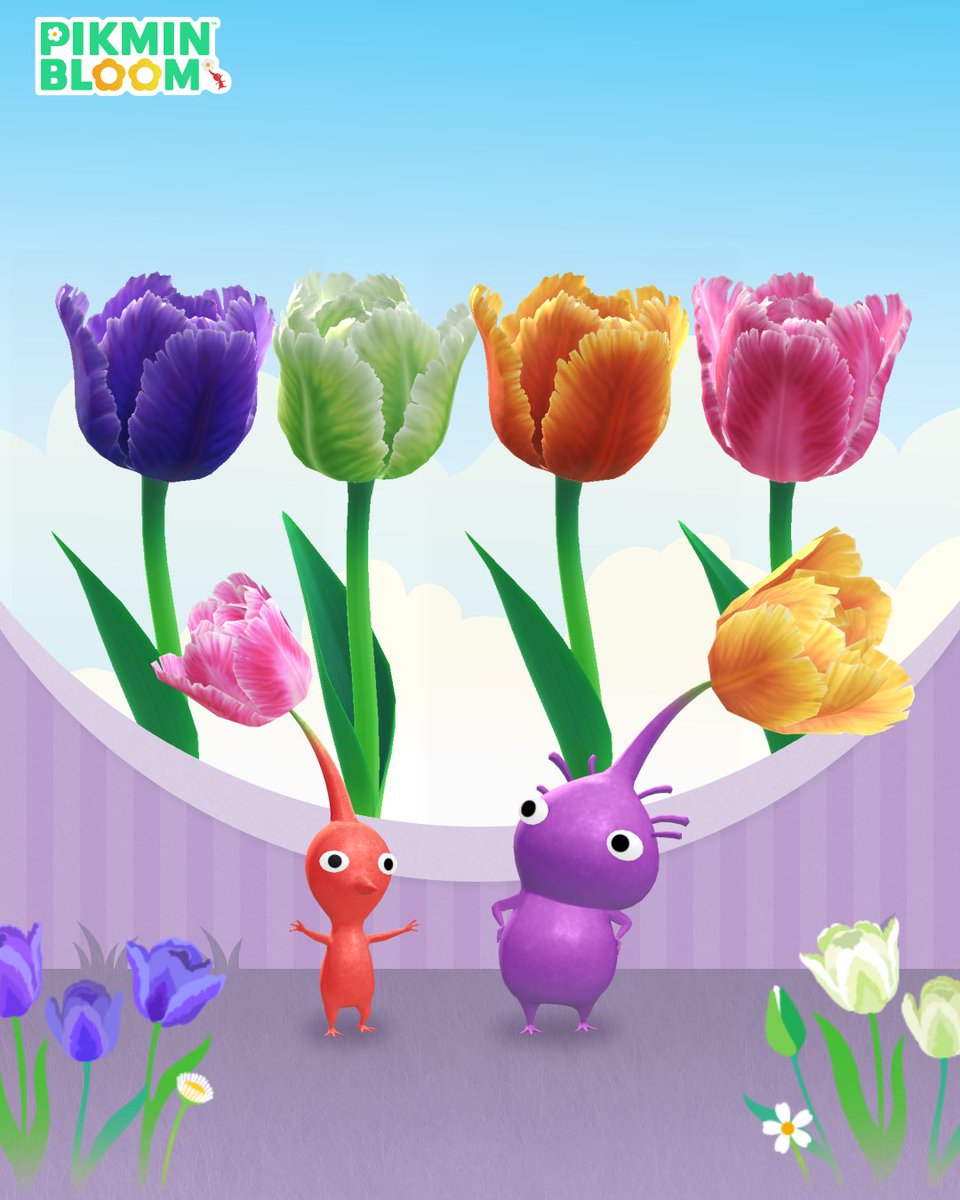 Pikmin Bloom Korea │ 피크민블룸 tweet media