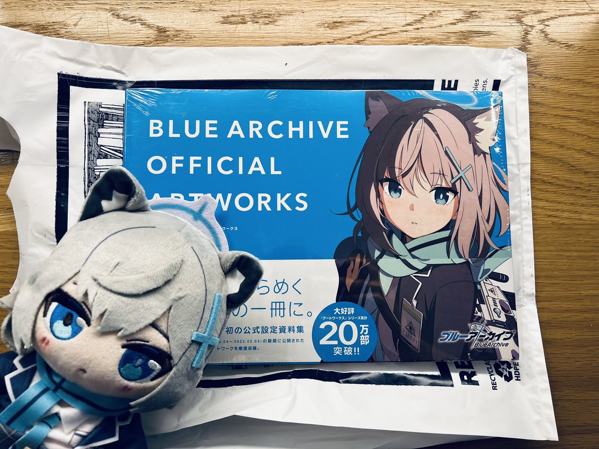 DiverseStyle tweet media