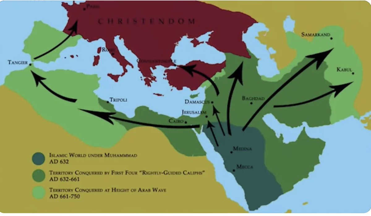 Shoshana🦁🌞🇸🇨🪬🇮🇷 tweet media
