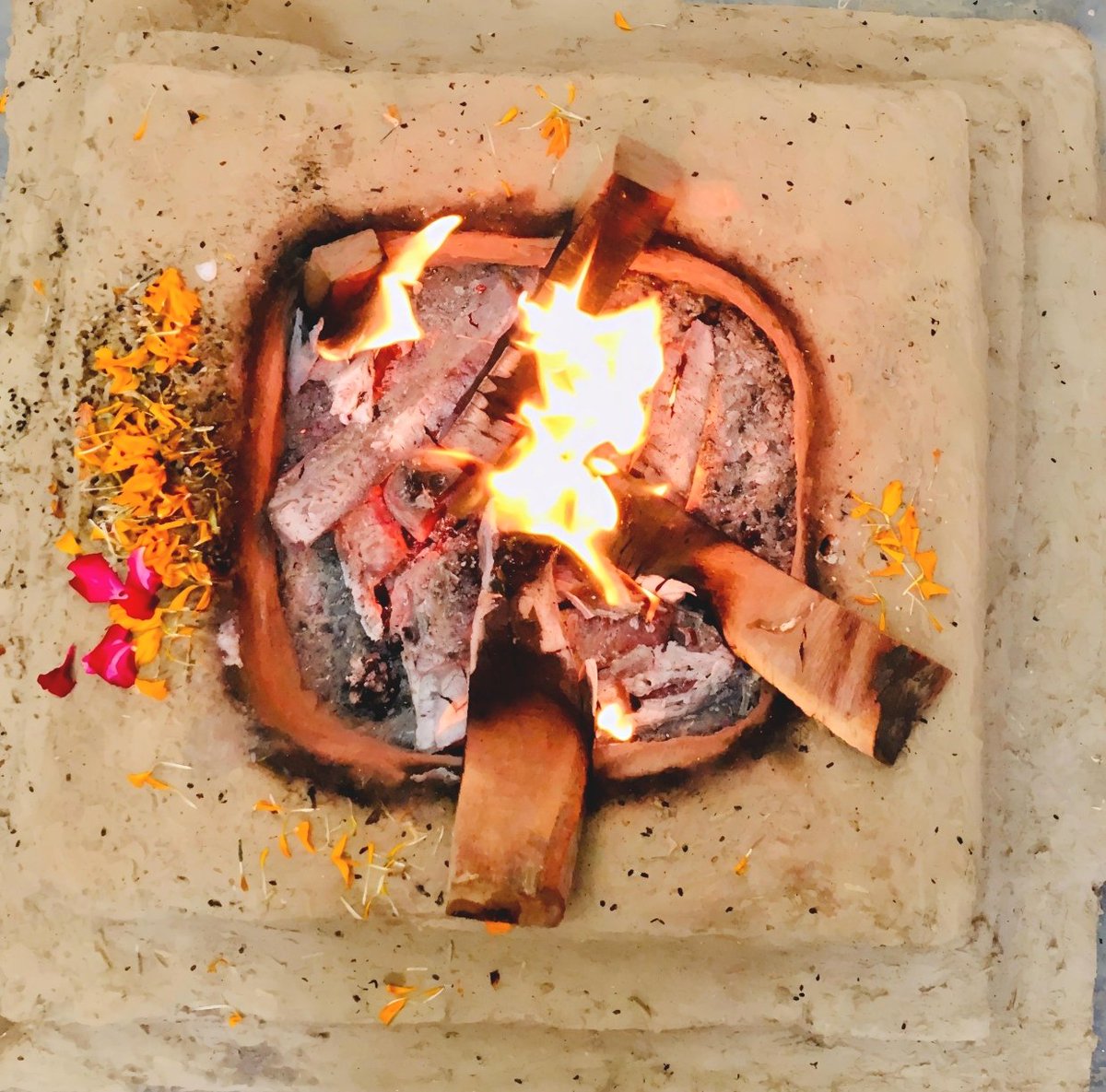 Protagonist tweet media