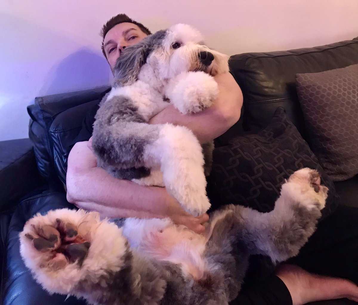 Freddy C.🐝 tweet media