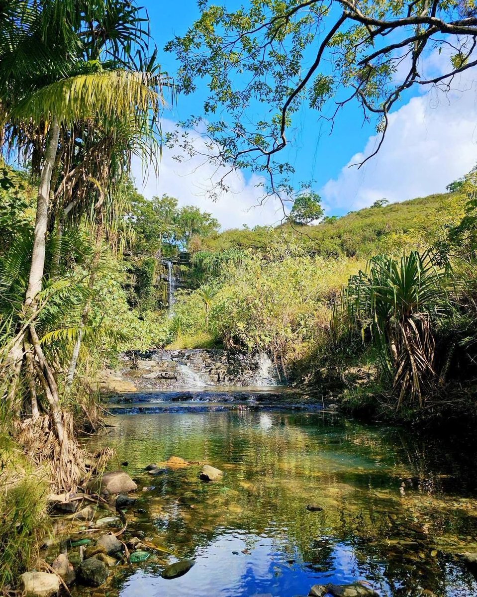 The Guam Guide tweet media