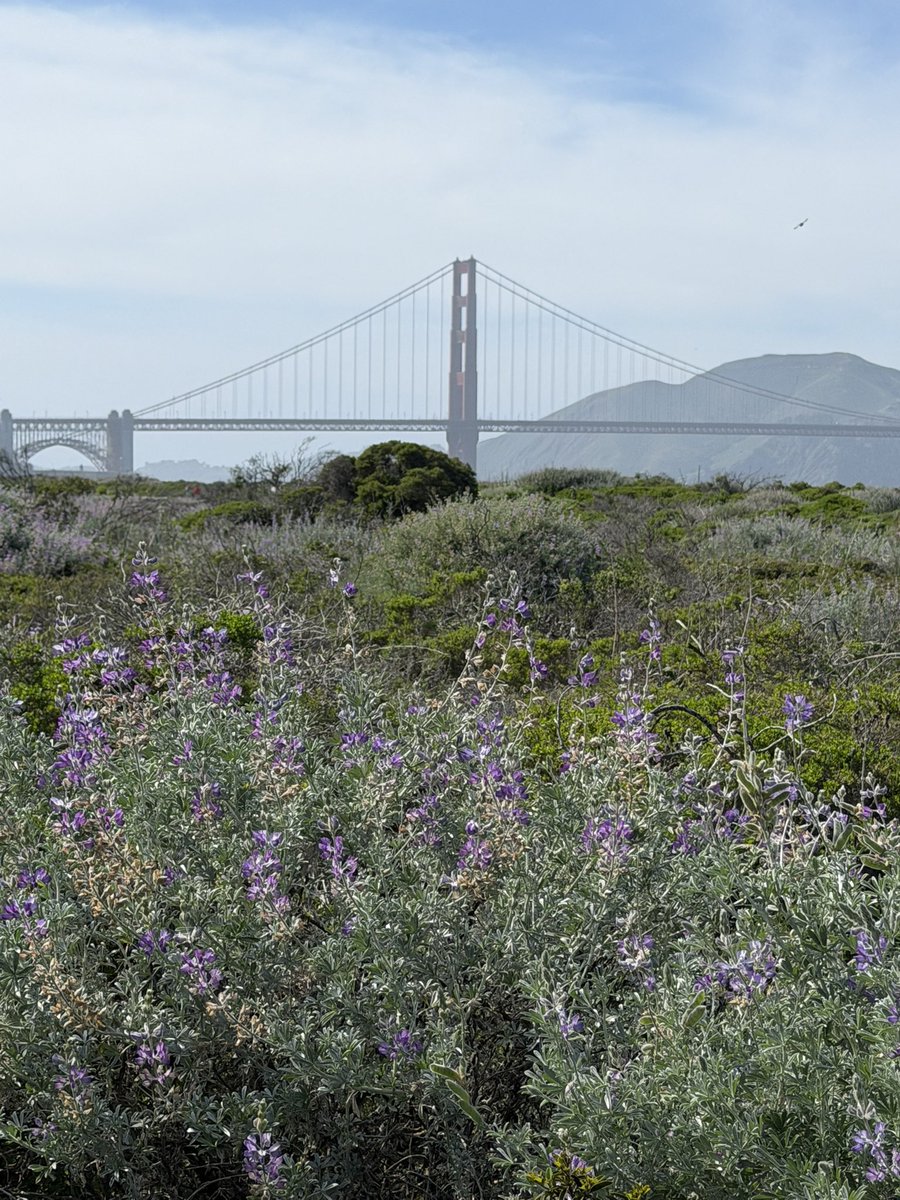 Chase Woolard tweet media