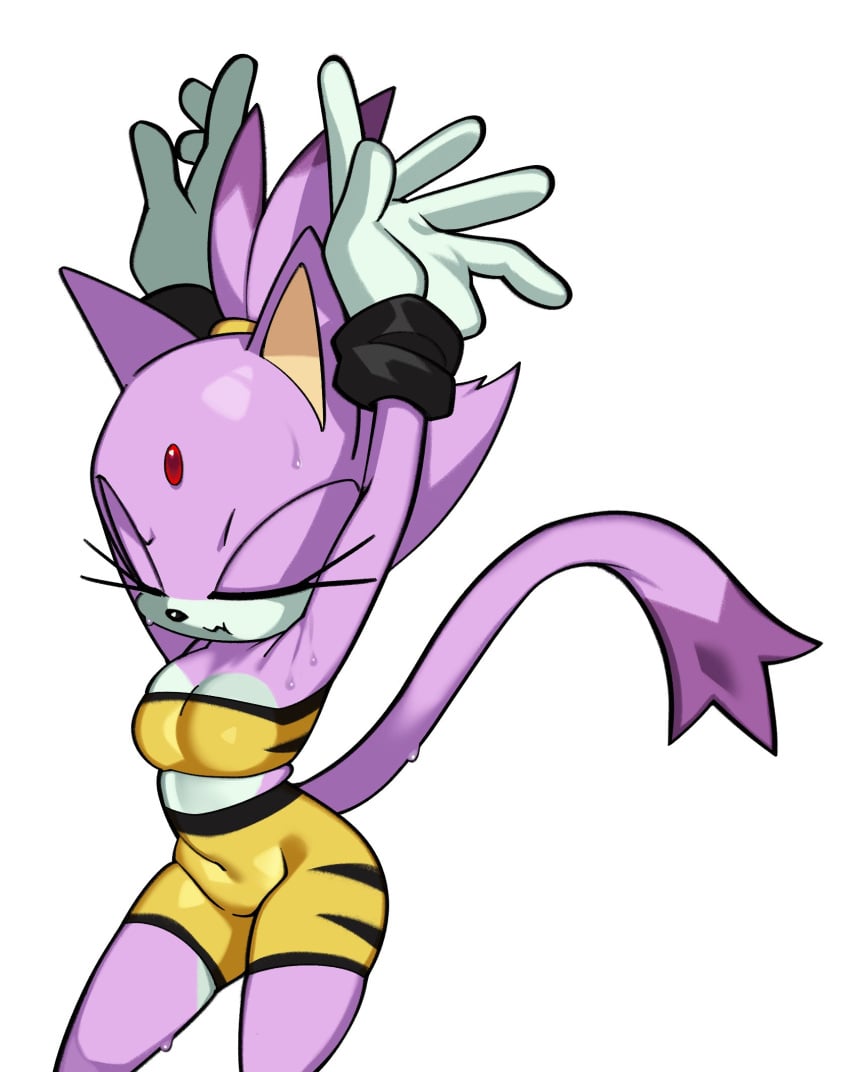 Blaze the Cat tweet media