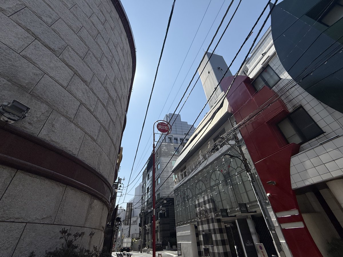 まりてんレンタル日記✍️ tweet media