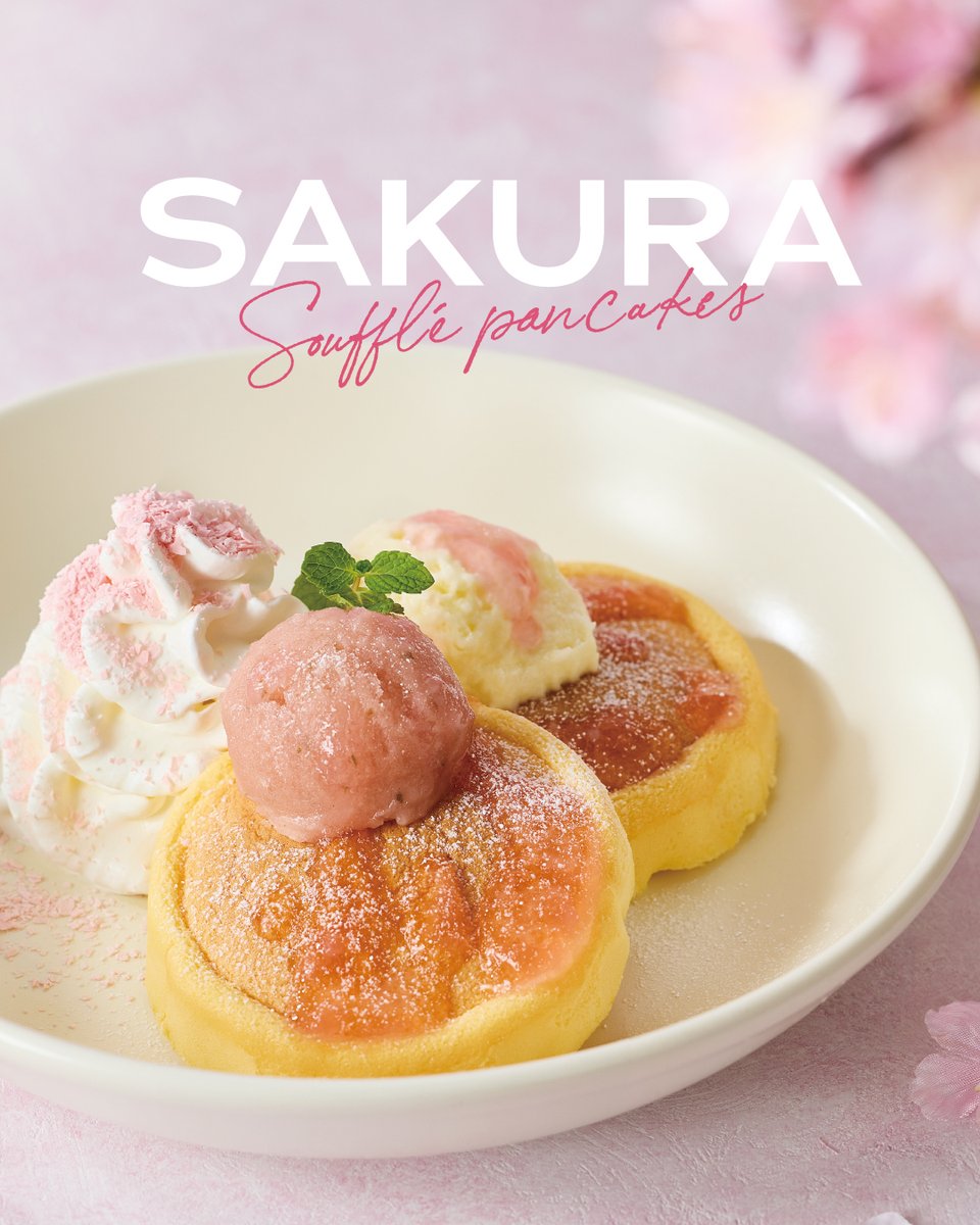 プロント tweet media