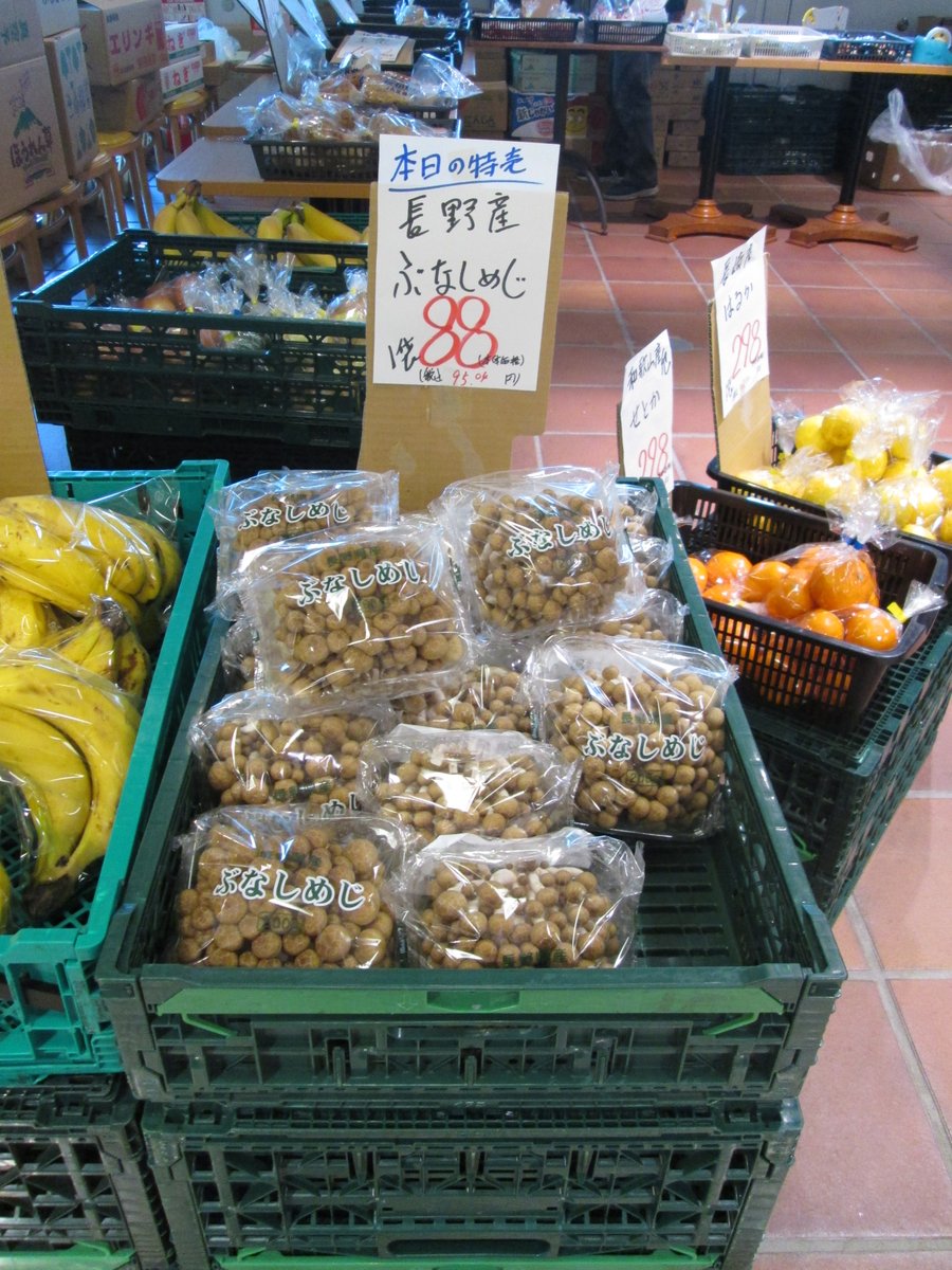 TFTビル【公式】 tweet media