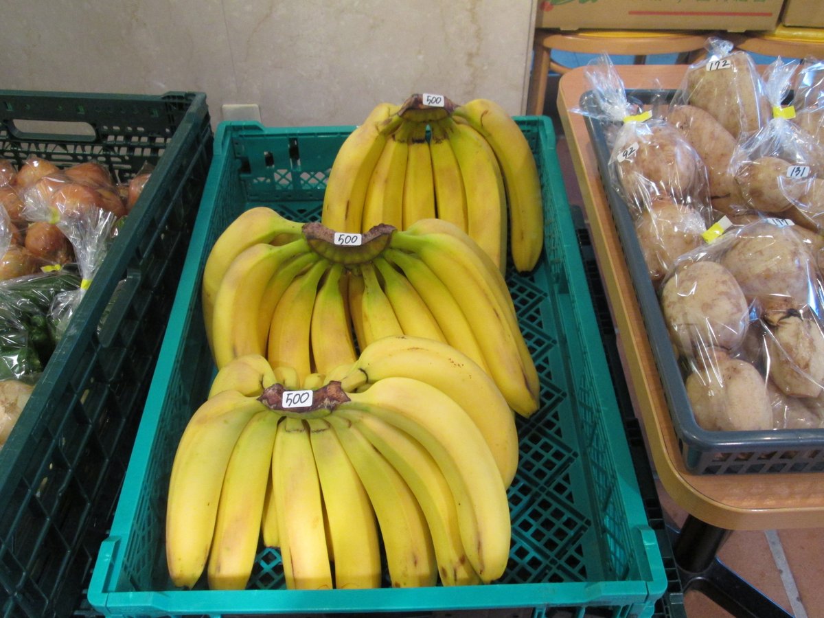 TFTビル【公式】 tweet media