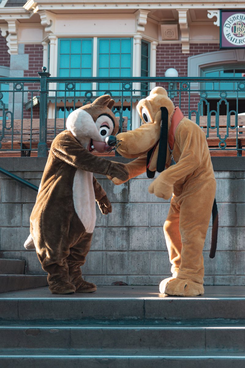 Streaming The Magic tweet media