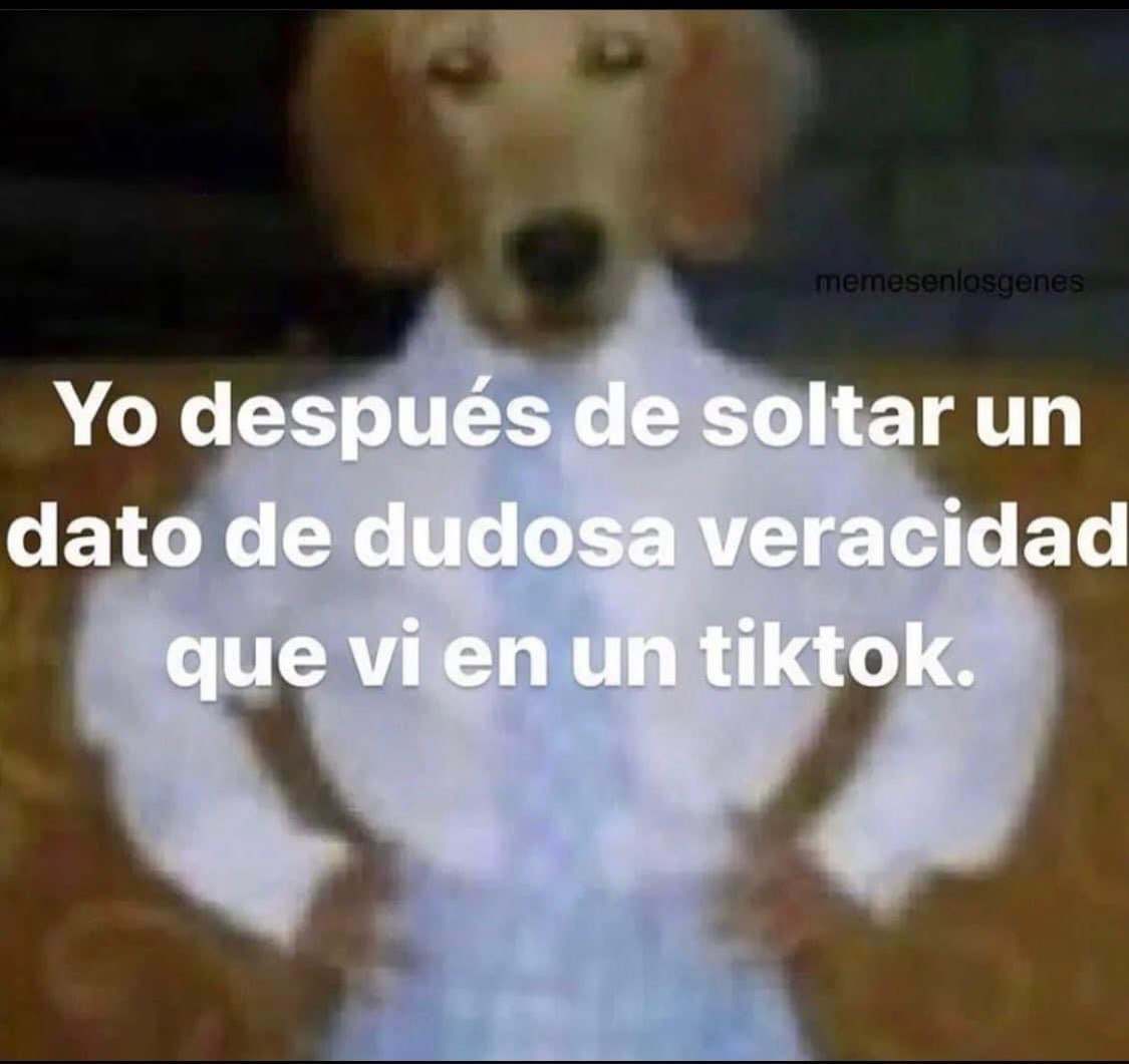 MundoDeBigotes's tweet photo. https://t.co/Epo2aZ1orp
