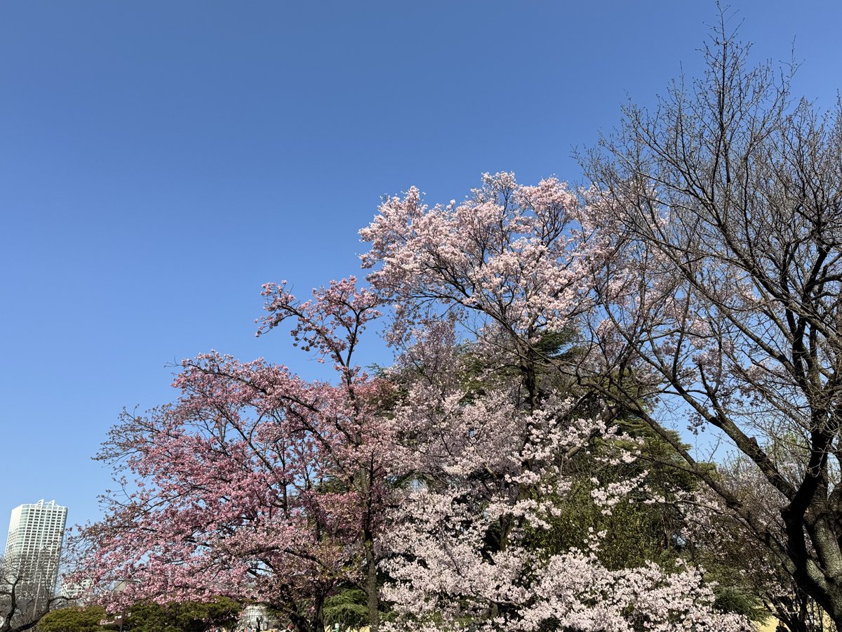 団地グルメ tweet media