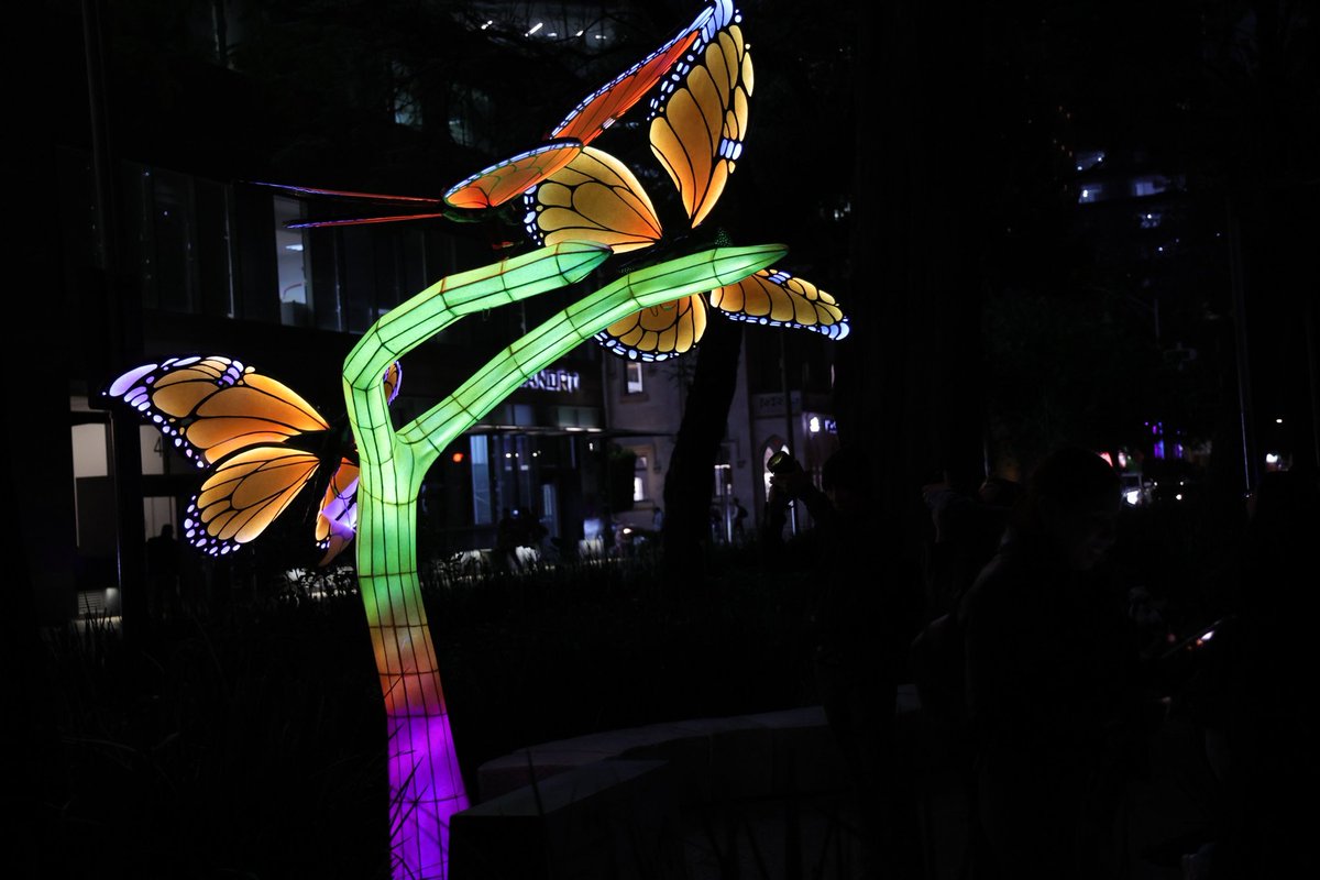 Clara Brugada Molina tweet media