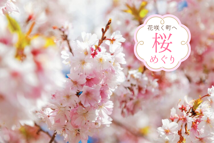 ことりっぷ tweet media