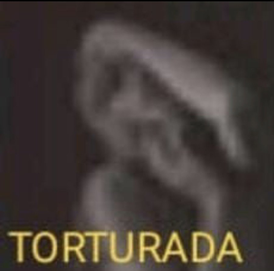 thiagussyr tweet media