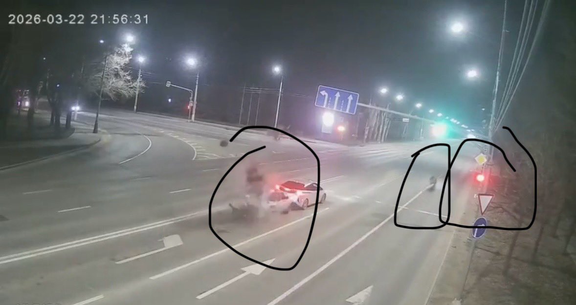 i 🇩🇿 tweet media