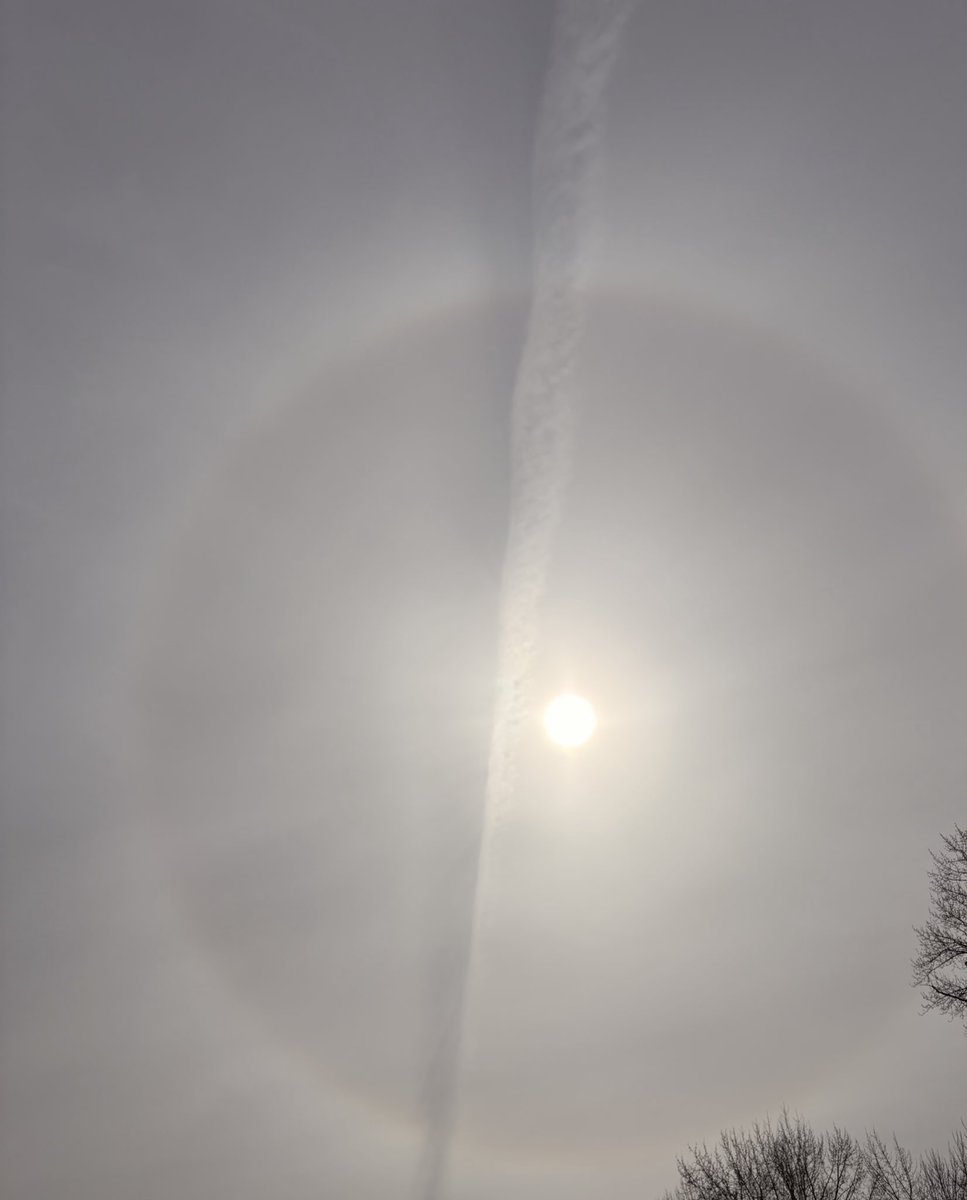 Starbase Ranch tweet media