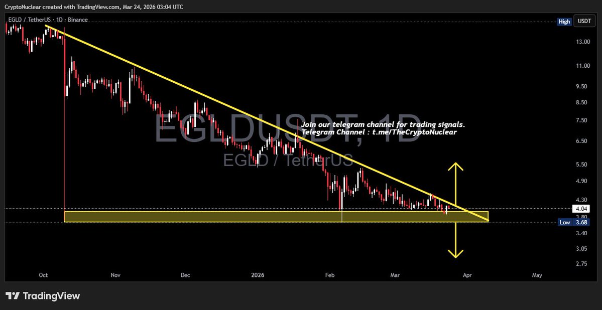 Crypto Nuclear tweet media