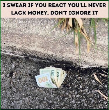 Law Of Attraction Coach tweet media