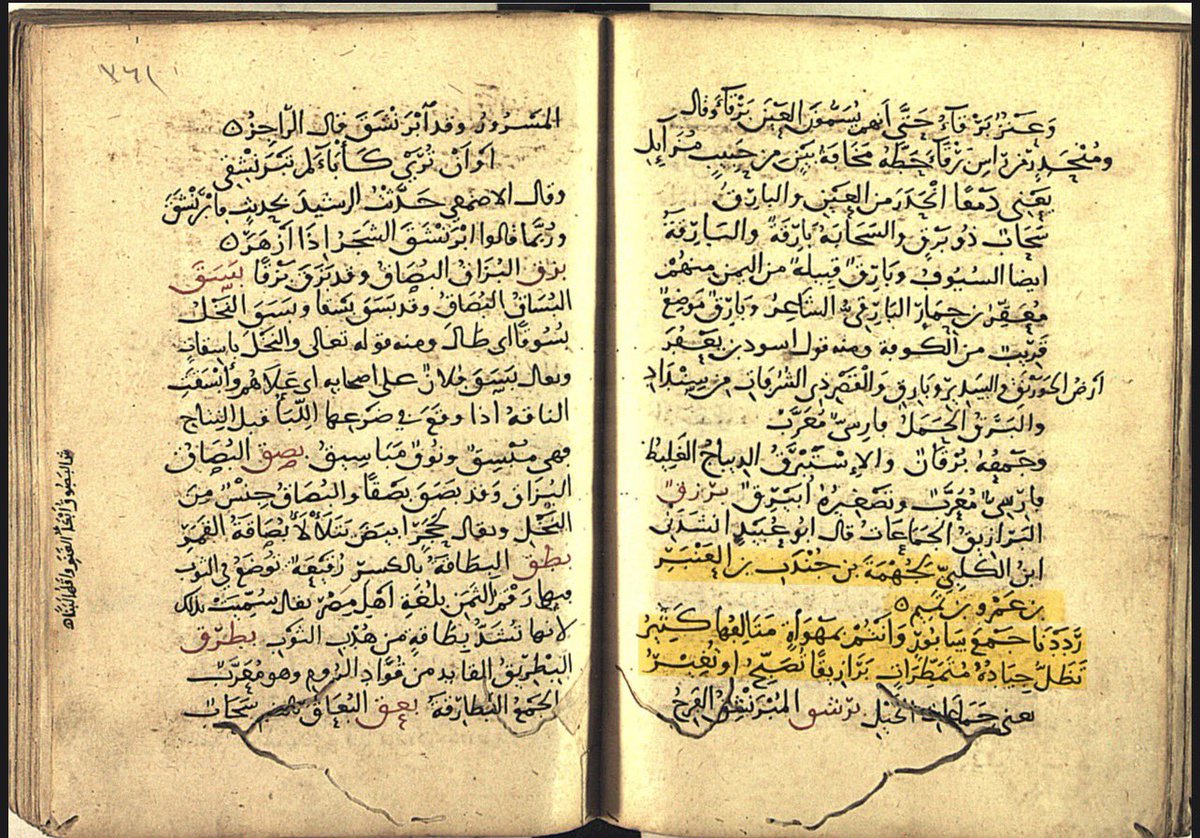 أنس الـتـمـيـمـي tweet media