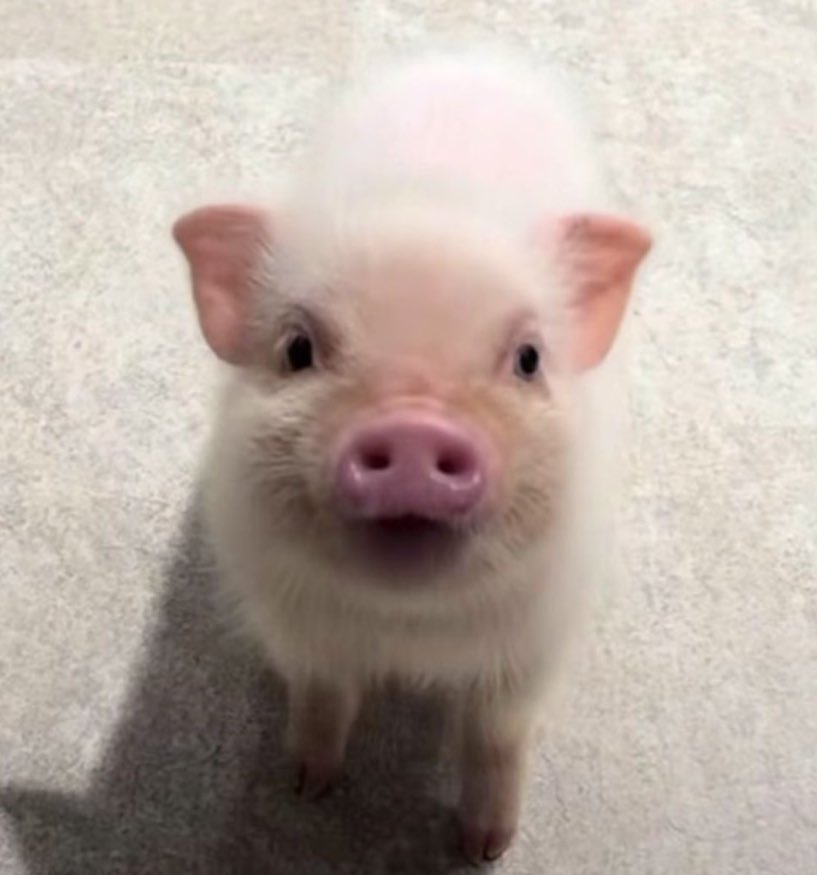 𝐠𝐠‎ 𖦹★⊹ tweet media