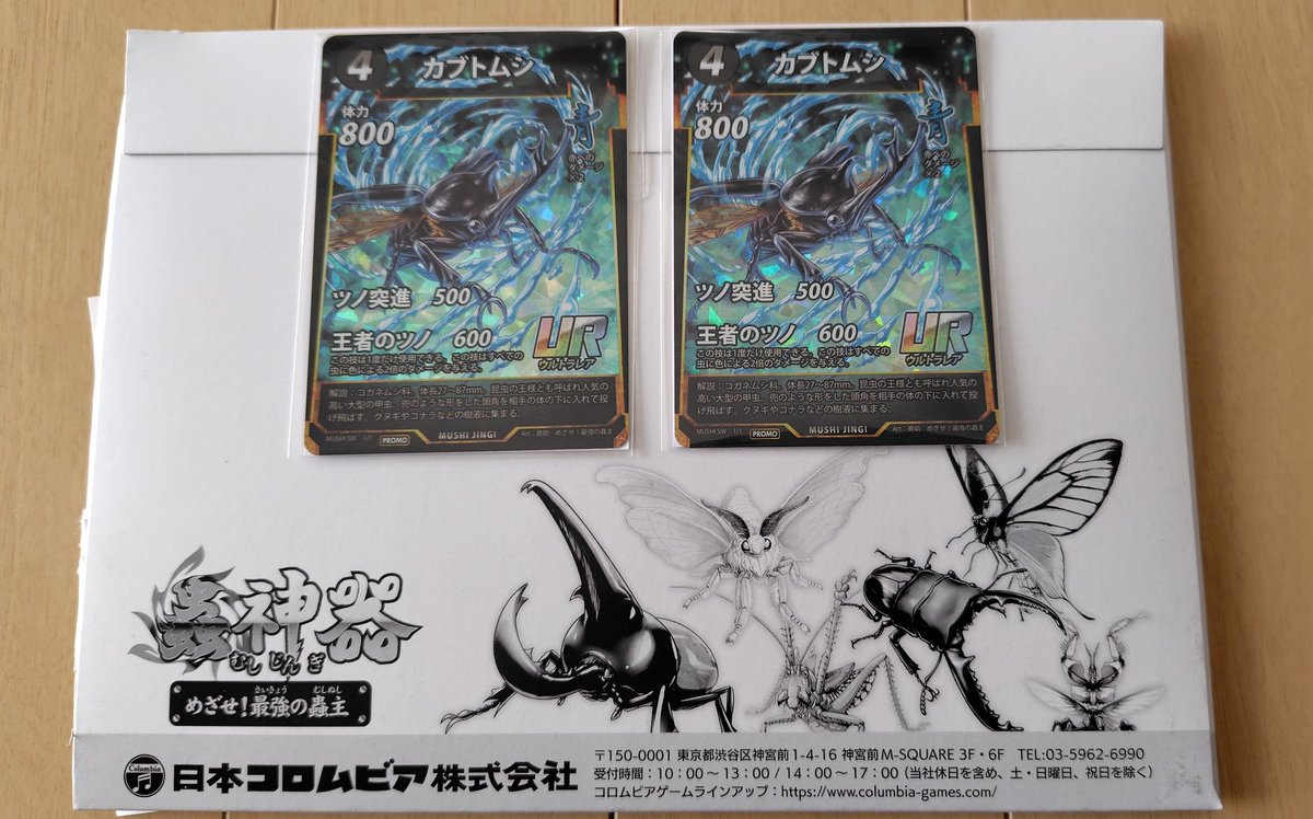 URカブトムシ、届きました。