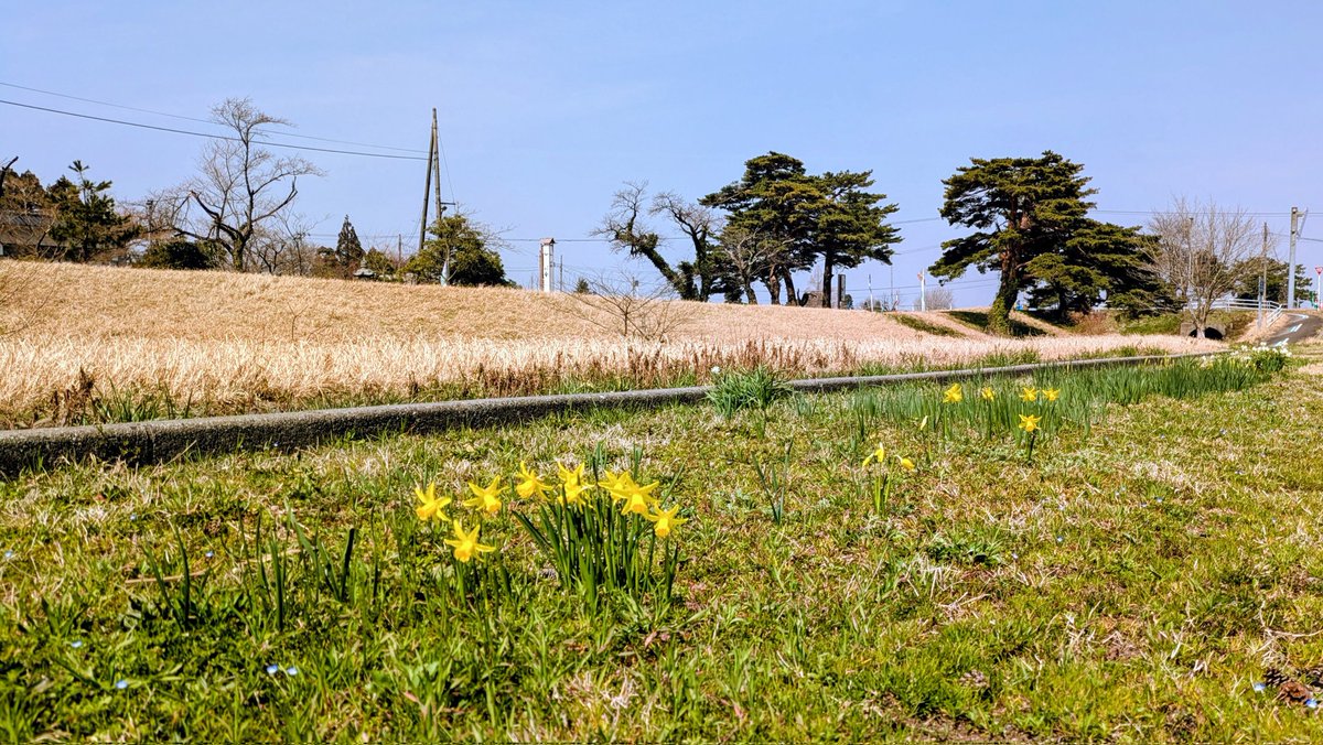 平永里恵(橋本)Hirae Rie パーカッション・打楽器・Percussion・マリンバ 富山 tweet media