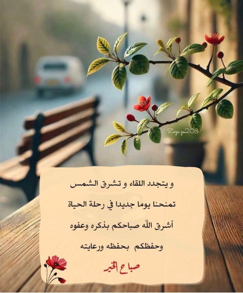 𝓚𝓘𝓝𝓖 tweet media