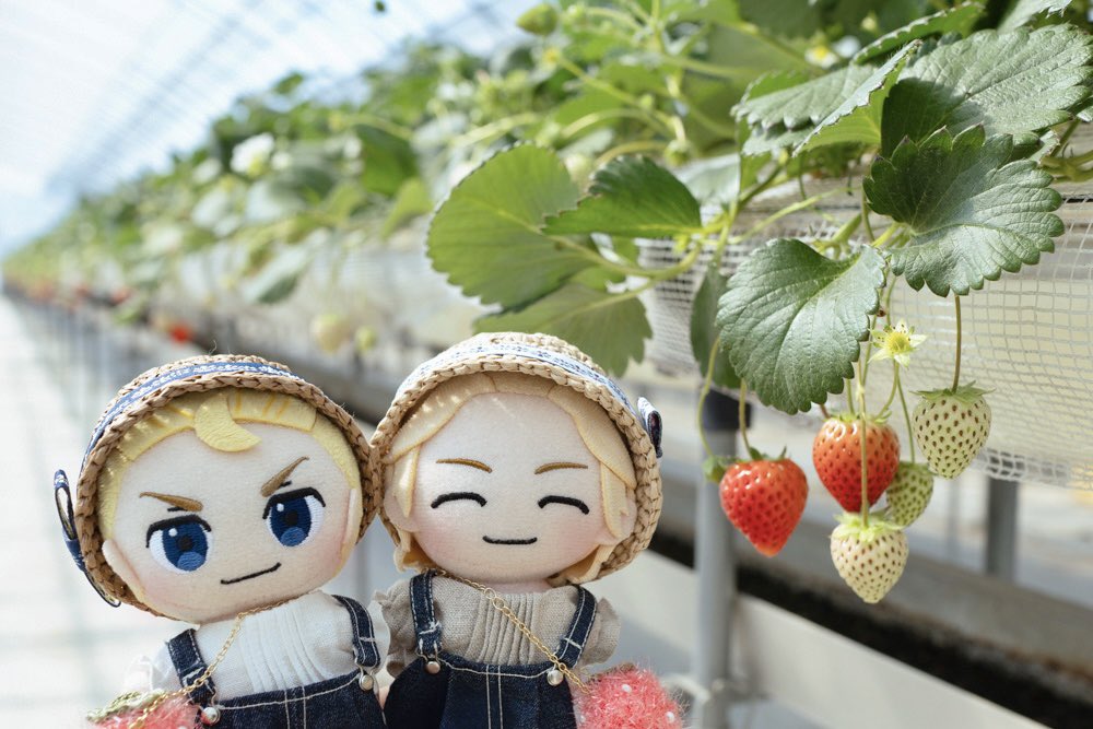 はるぷん tweet media