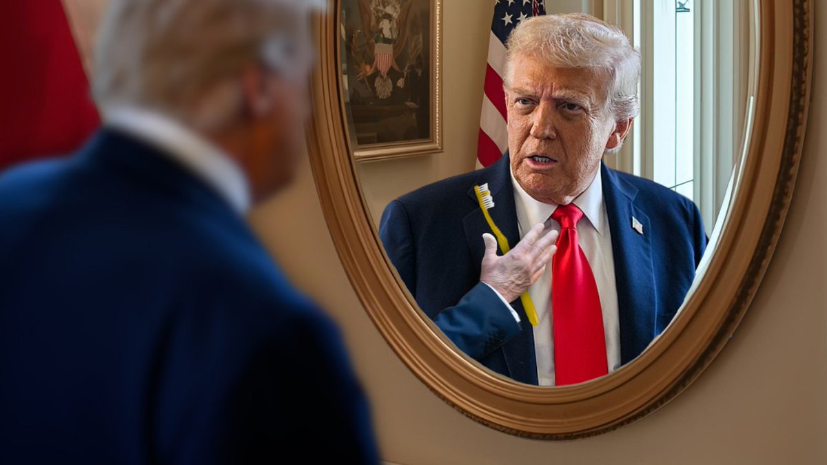 ElectricKoala 🐨 tweet media