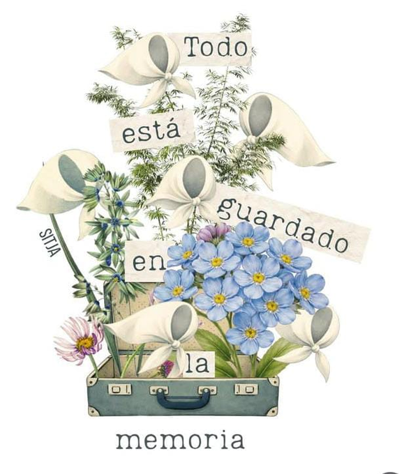 Gamarra Graciela 🇦🇷✌🏼💚 tweet media