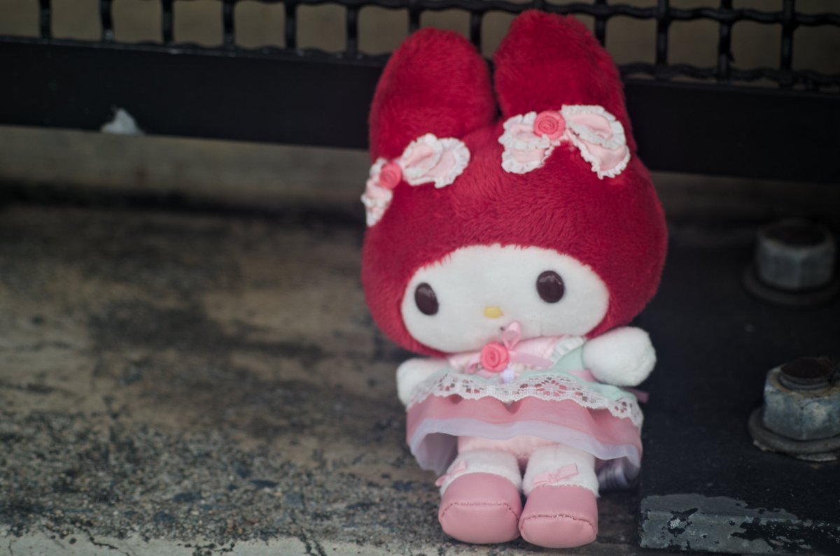 flowerworks 🌻🐈 tweet media