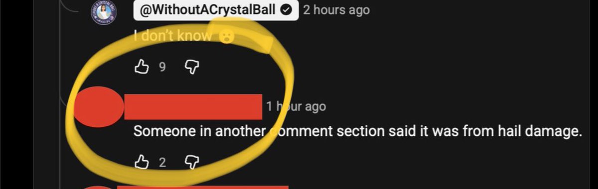 Lord Of The fLies…🪰Swatter tweet media