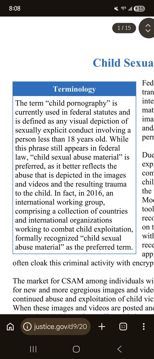 hungrypabbit's tweet photo. Okay you dumb fuck, fictional underage sex is NOT csem. It is classified as VISUAL and as VIDEOS AND IMAGES. WRITTEN WORKS ARE NOT CSEM. You are not protecting ANYONE by miscontruing the definition of CSEM

By definition of federal law: https://t.co/9eelnF5BGv https://t.co/QEeSeMHB0u
