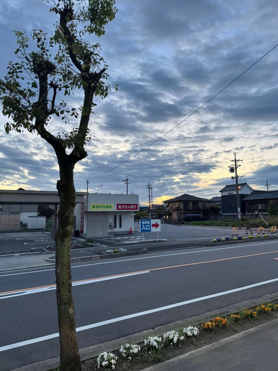 Yuzii 悠司 tweet media