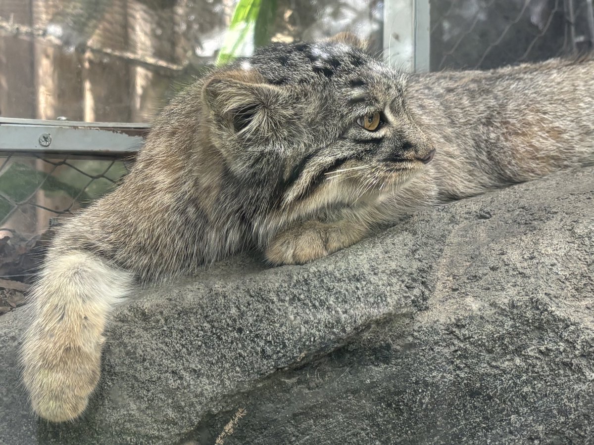 みにゃかさん🍊 tweet media